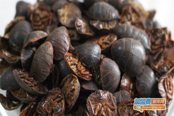 黑乌金土元加盟