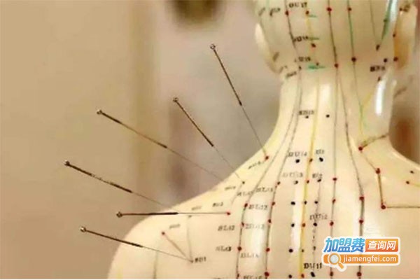 君力针灸SPA加盟费