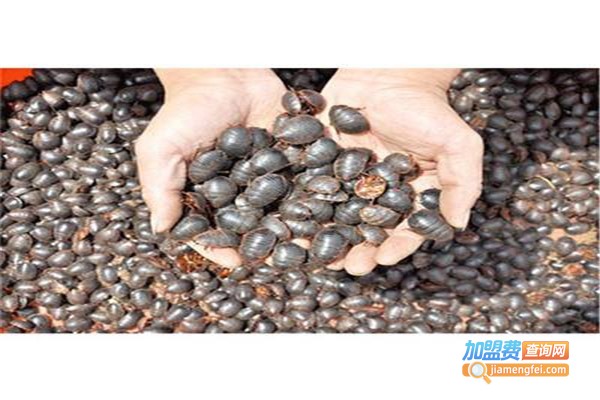 速生土元加盟费