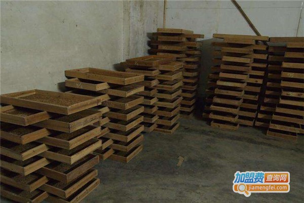 农大七号黄粉虫养殖加盟费