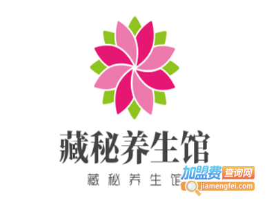 藏秘养生馆加盟费