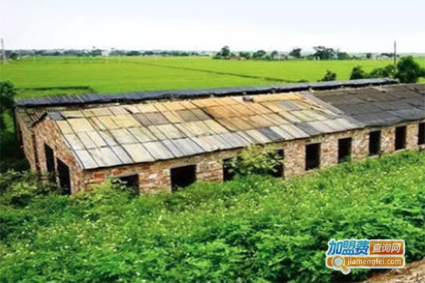 富民土元加盟费