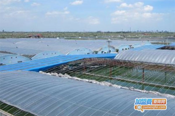 中华全蝎王加盟费