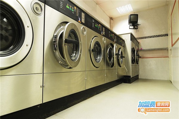 淇淇干洗加盟费