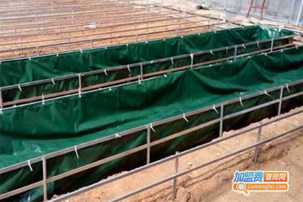 中华全蝎王加盟费