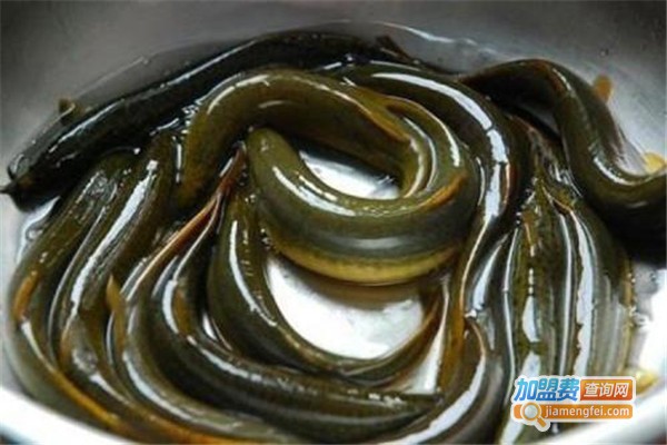 农丰香鳅加盟费