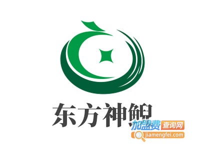 东方神鲵加盟费