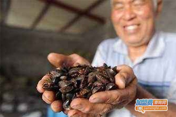 中华药王黄金土元加盟费