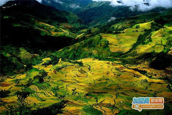 哈尼民族药草堂养生药浴加盟费