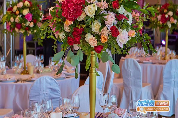 靓新娘婚庆加盟门店