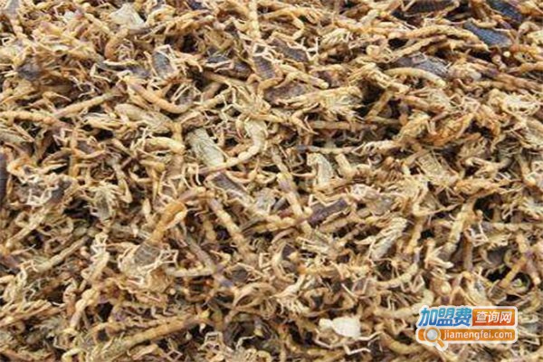 博莱药蝎养殖加盟费