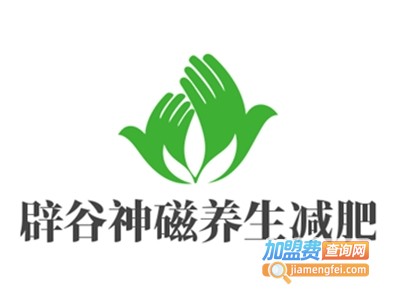 辟谷神磁养生减肥加盟费