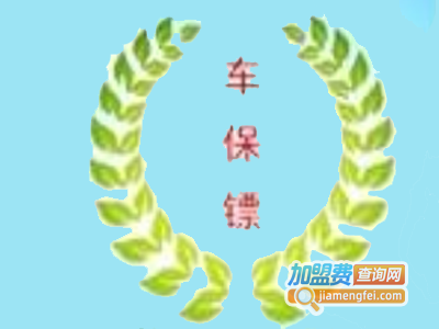 车保镖破雾宝加盟费