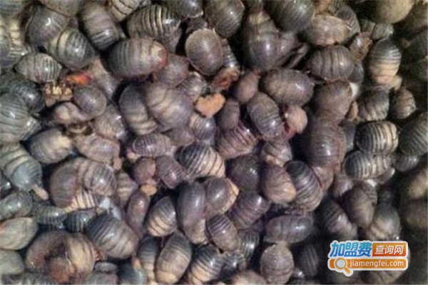 富先达9号土元加盟费