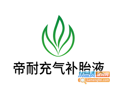 帝耐充气补胎液加盟