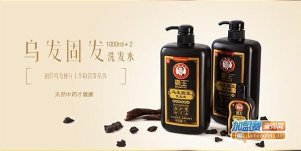 霸王洗头水加盟费