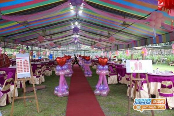 浪漫花絮婚庆加盟门店