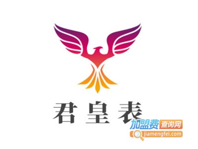 君皇表加盟费