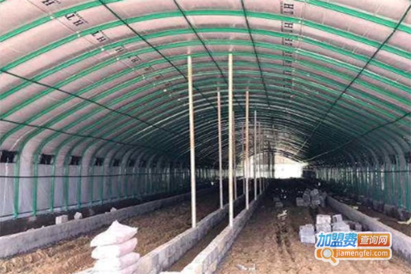 中华全蝎王加盟费