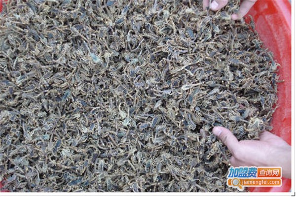 神农九号金蝎特种养殖加盟费