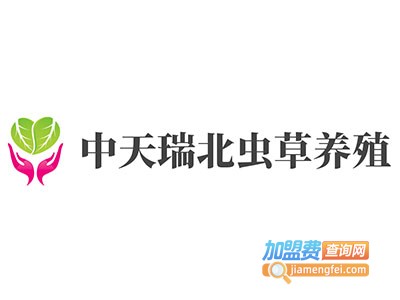 中天瑞北虫草养殖加盟费