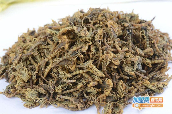 浩丰9号全蝎加盟费