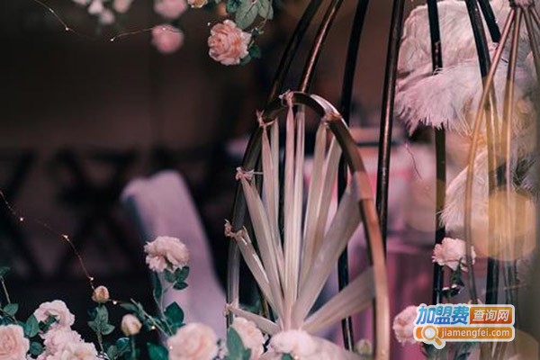 星梦奇缘婚庆加盟费