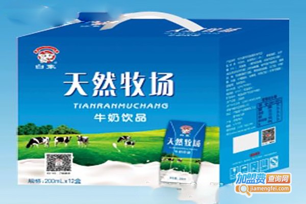 牛哆力奶粉加盟费