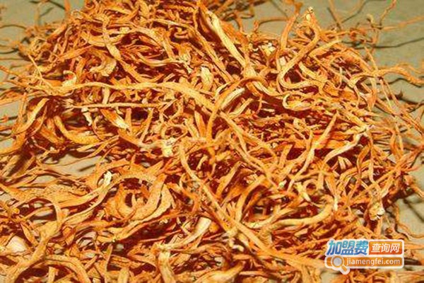 农博6号金虫草加盟门店
