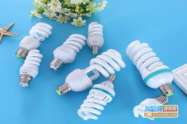 蕾丝盾节能灯加盟门店