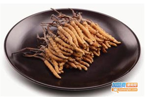 元凯冬虫夏草加盟