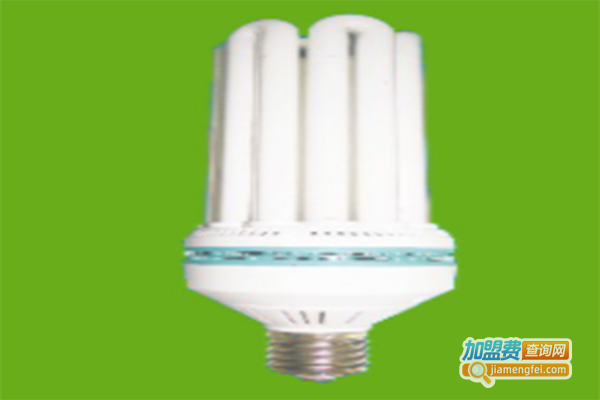 弗莱瑞节能灯加盟门店