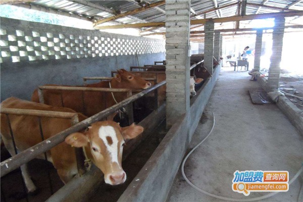 浩丰养殖加盟费