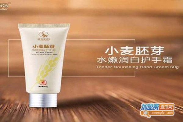 袋鼠妈妈孕妇护肤品加盟费