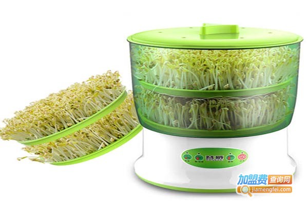 中创汇丰豆芽机加盟门店