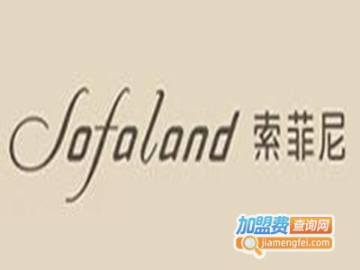 索菲尼智能控车系统加盟费