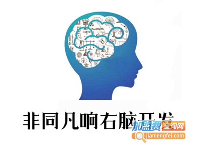 非同凡响右脑开发