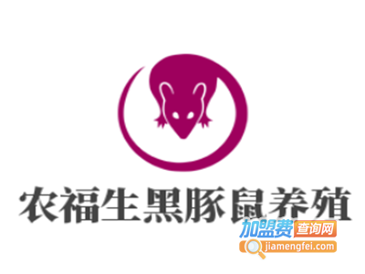 农福生黑豚鼠养殖加盟