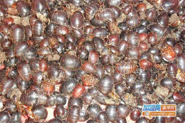 亿***用土元加盟费