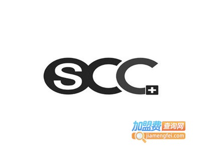 scc汽车坐垫专业清洗