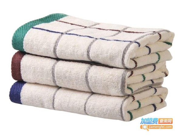 千百变美容家居加盟费