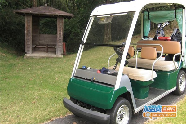 路缘电动车加盟费