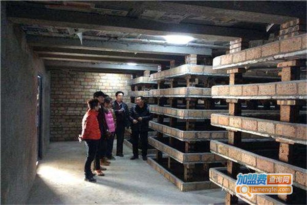 亿***用土元加盟费