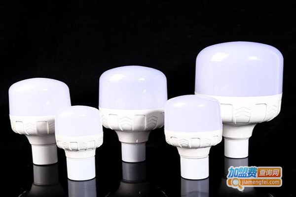 红冠节能灯加盟门店