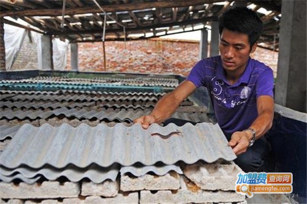 众农蜈蚣加盟费