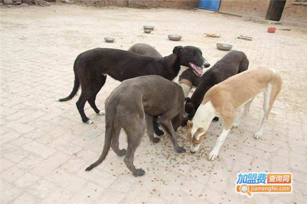 万农8号养殖加盟费