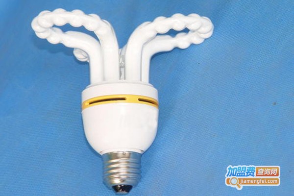 聚能节能灯加盟门店