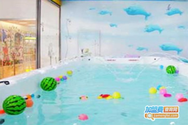 跳跳海豚少儿教育加盟费