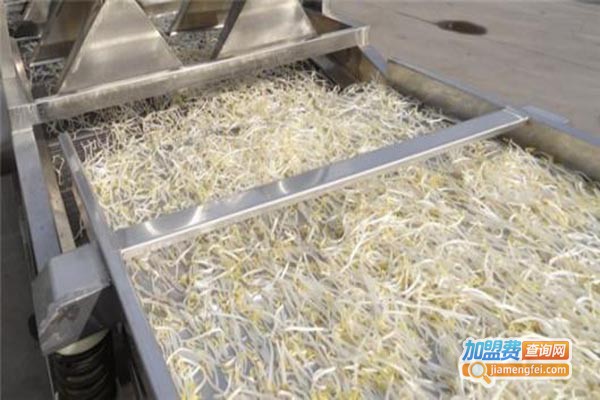 青州科发豆芽机加盟