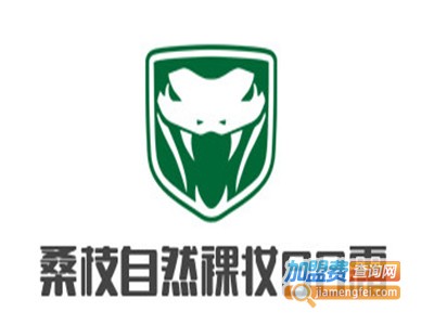 桑枝自然裸妆BB霜加盟费